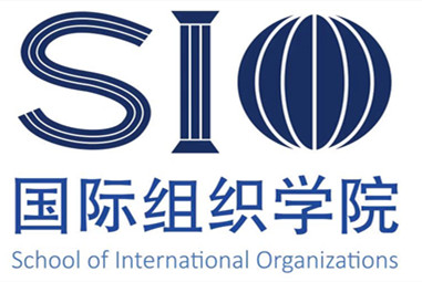 Інститут міжнародних організацій